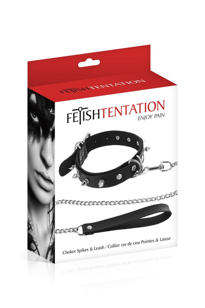 Collier à pointes & laisse